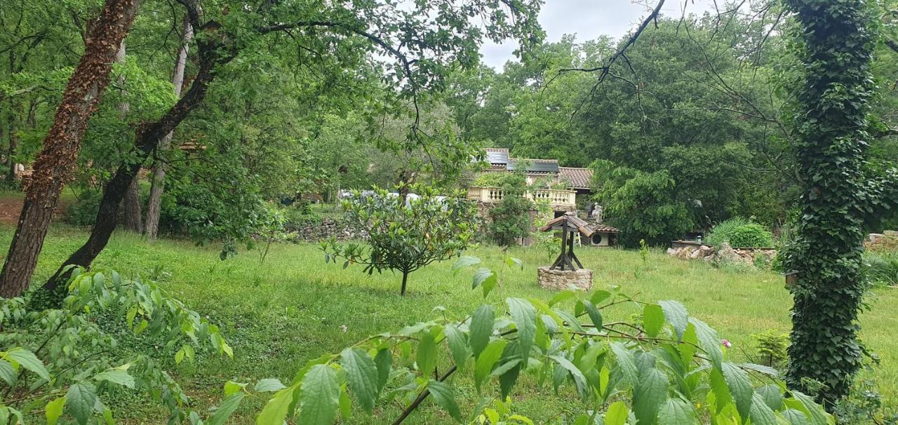 Villa Eden Vert Fayence Εξωτερικό φωτογραφία