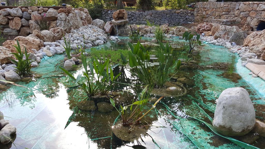 Villa Eden Vert Fayence Εξωτερικό φωτογραφία
