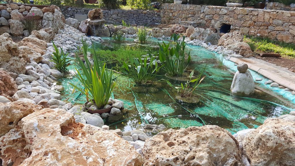 Villa Eden Vert Fayence Εξωτερικό φωτογραφία