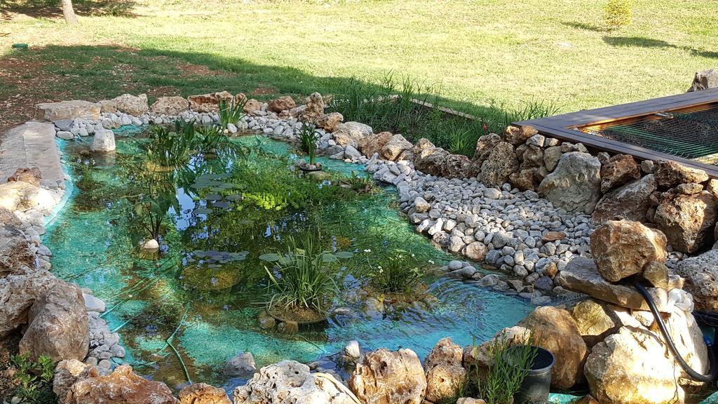 Villa Eden Vert Fayence Εξωτερικό φωτογραφία