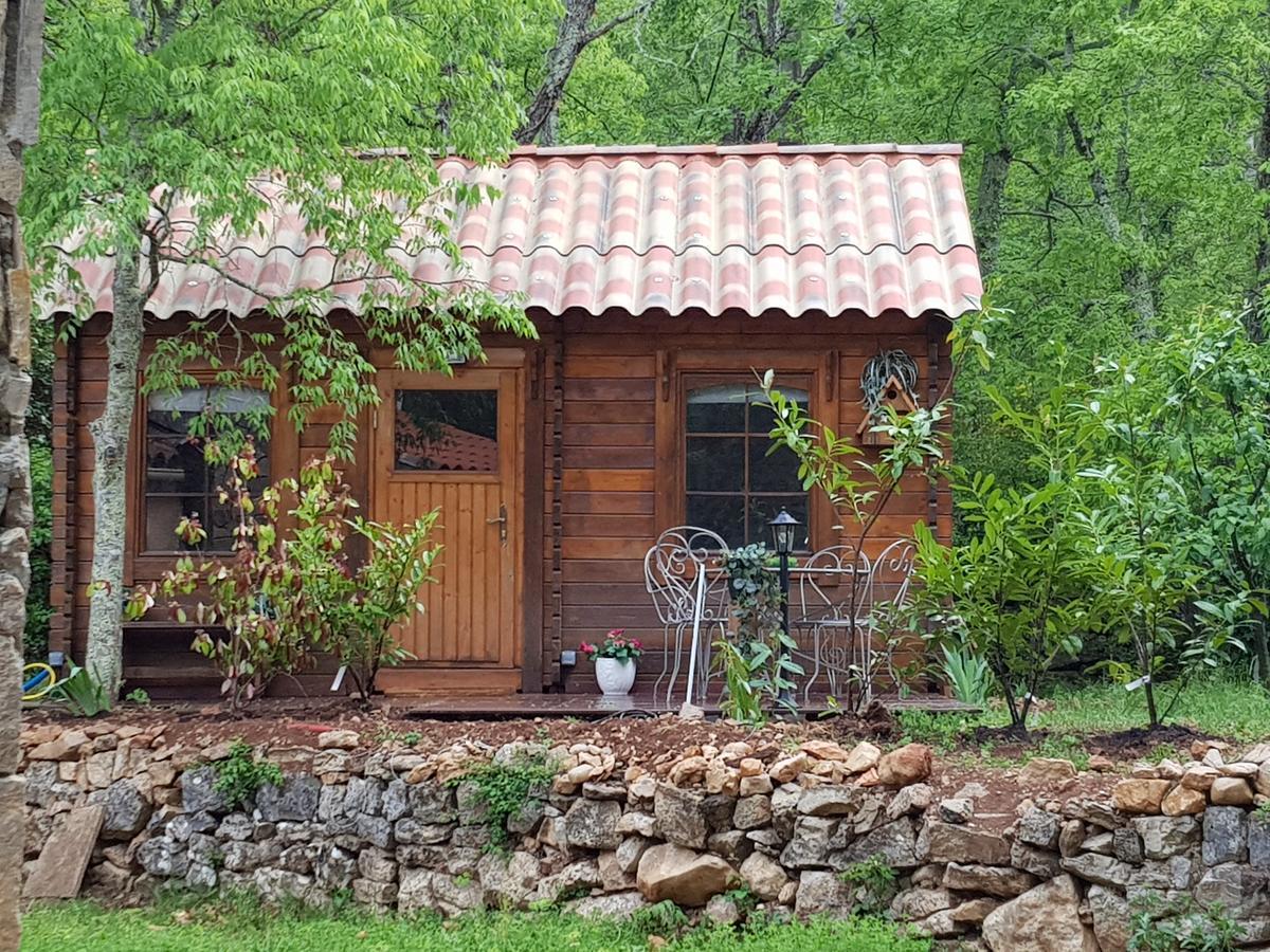 Villa Eden Vert Fayence Εξωτερικό φωτογραφία